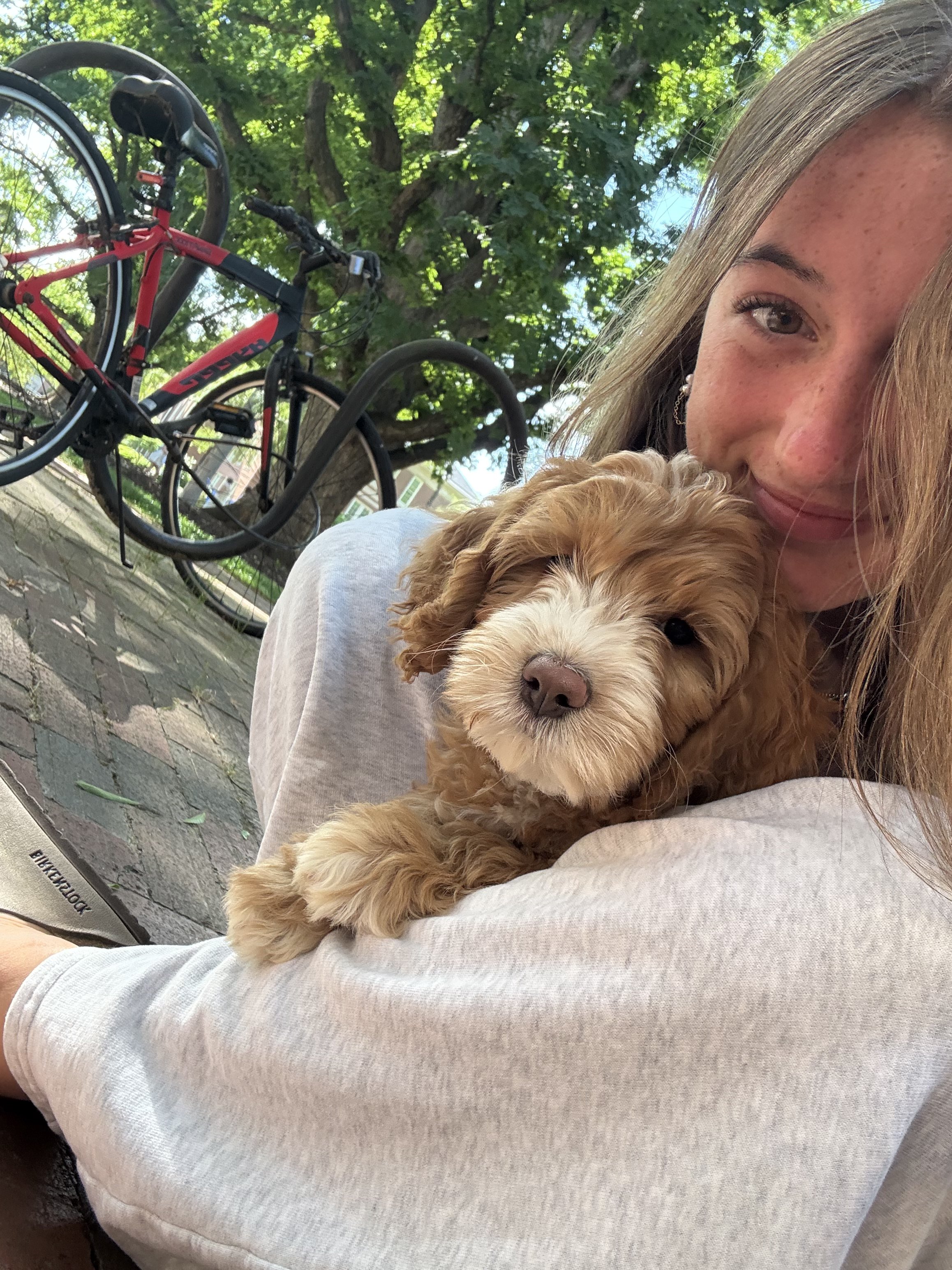 Claire — Puppy Therapy™ Ambassador, UNC Chapel Hill