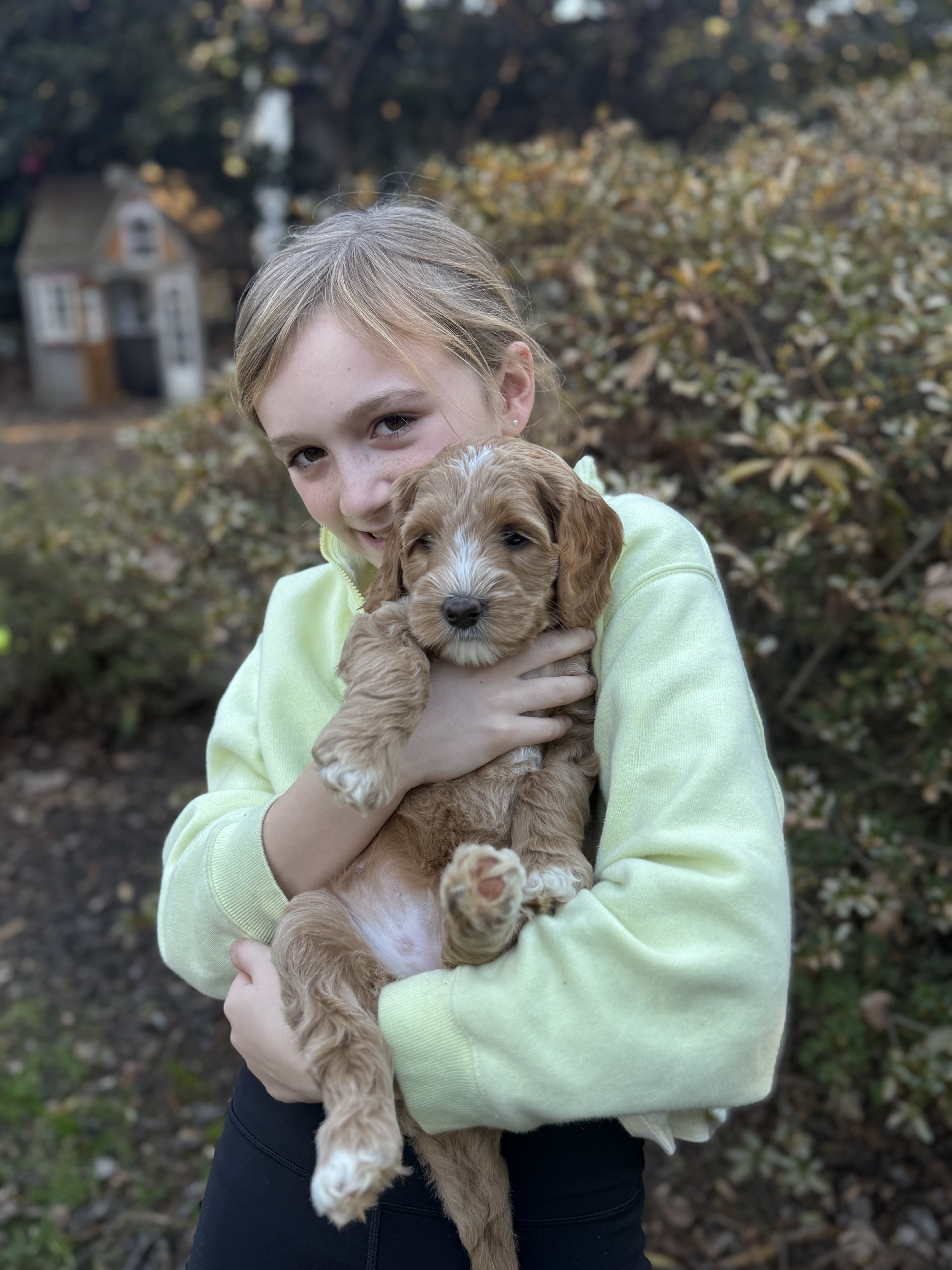 Puppy Therapy Pop-Up moment