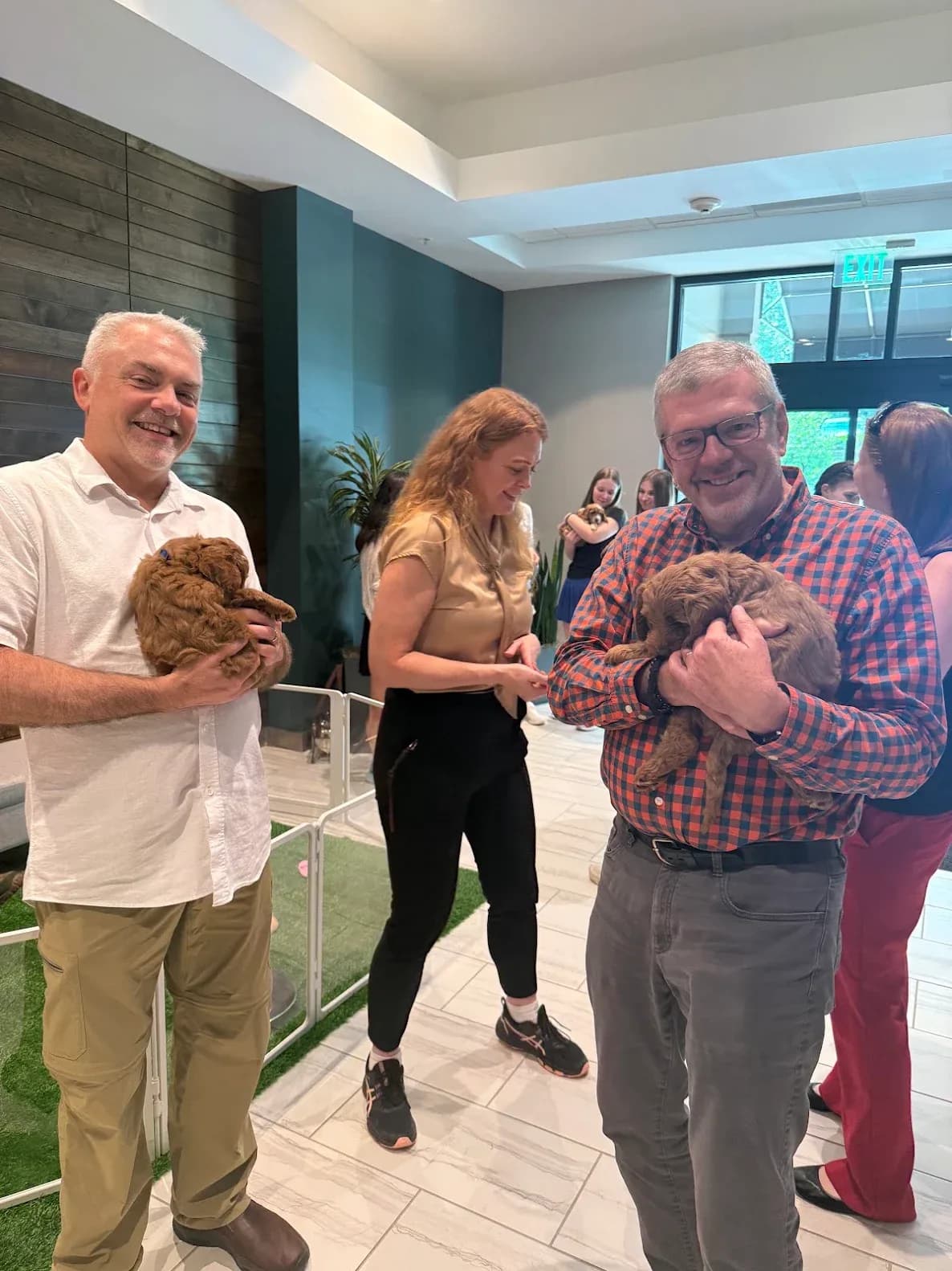 Guests holding Australian Labradoodle puppies beside the play pen at an office event.