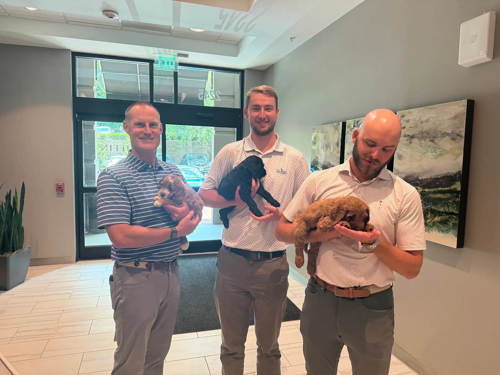 Three colleagues in company polos holding puppies at an on-site event